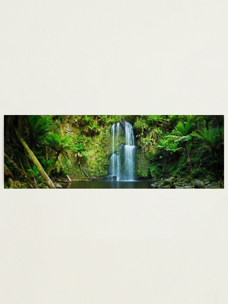 Thumbnail 2 of 3, Photographic Print, Beauchamp Falls, Otways, Great Ocean Road, Victoria, Australia designed and sold by Chockstone.
