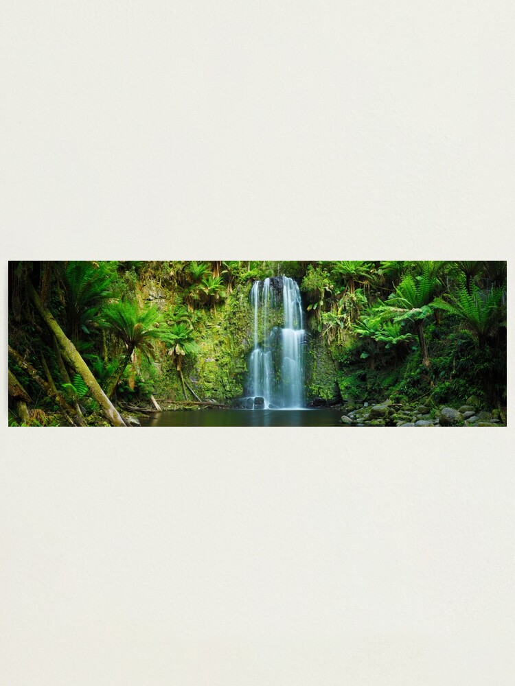 Thumbnail 2 of 3, Photographic Print, Beauchamp Falls, Otways, Great Ocean Road, Victoria, Australia designed and sold by Chockstone.
