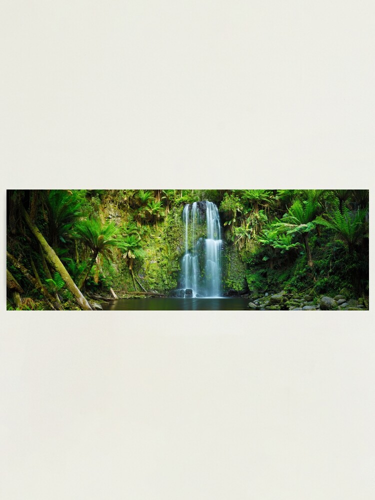 Thumbnail 2 of 3, Photographic Print, Beauchamp Falls, Otways, Great Ocean Road, Victoria, Australia designed and sold by Chockstone.
