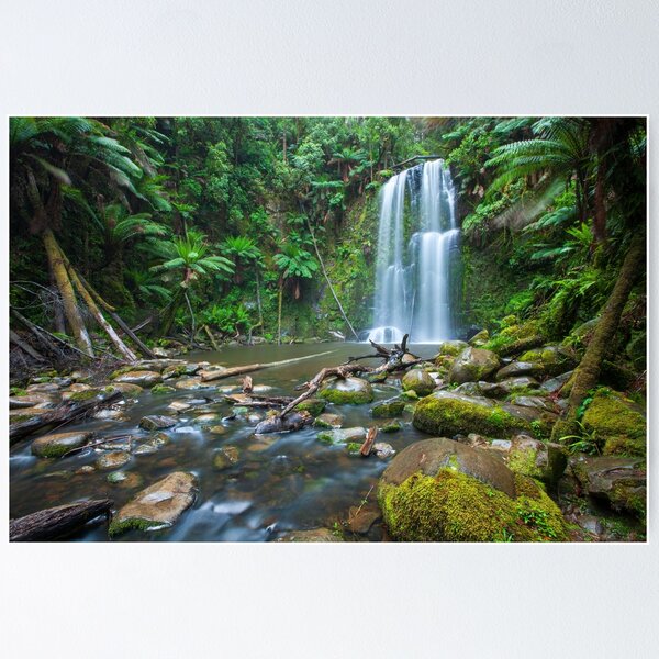 Item preview, Beachamp Falls, Otways National Park, Australia designed and sold by Michael Boniwell.