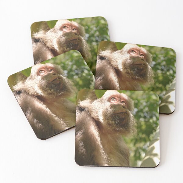 Item preview, Xing Xing monkey designed and sold by jealist.