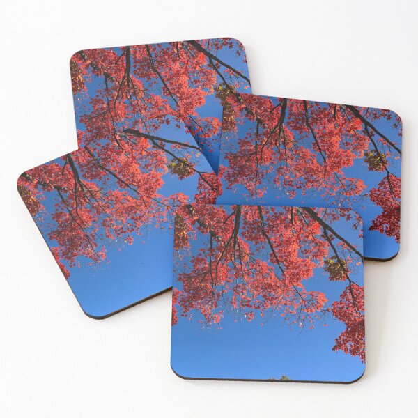 Item preview, Brilliant Red Leaves of New England 2024 designed and sold by florencemilan.