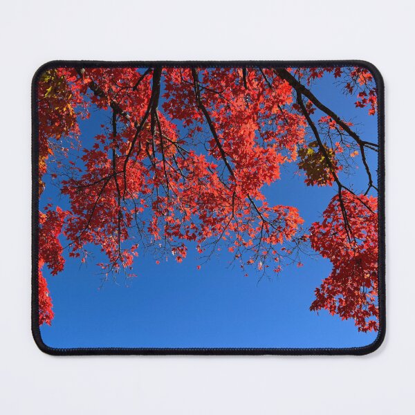 Item preview, Brilliant Red Leaves of New England 2024 designed and sold by florencemilan.