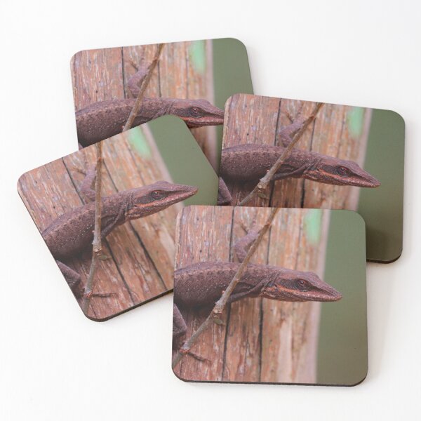 Item preview, Anole designed and sold by Parks and X.