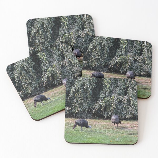 Item preview, Boston Wild Turkeys designed and sold by florencemilan.
