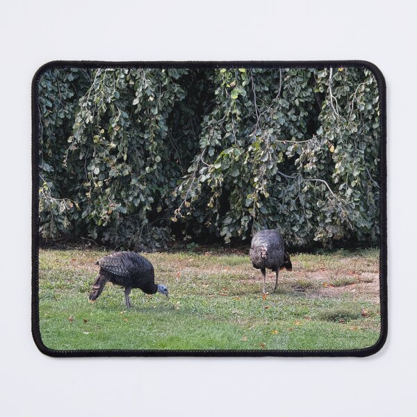 Item preview, Boston Wild Turkeys designed and sold by florencemilan.