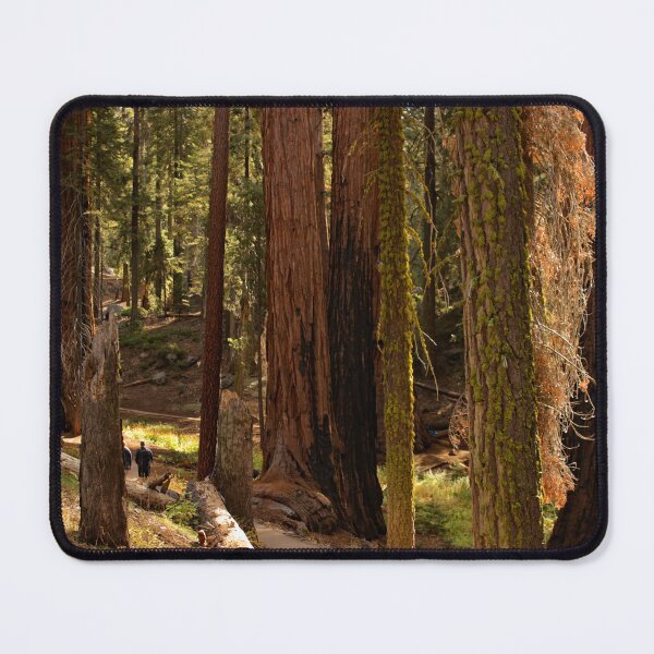 Item preview, Sequoia National Park designed and sold by supernova23.