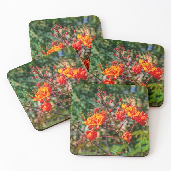 Item preview, Pretty Orange Blooming Flowers designed and sold by SafariByMarisa.