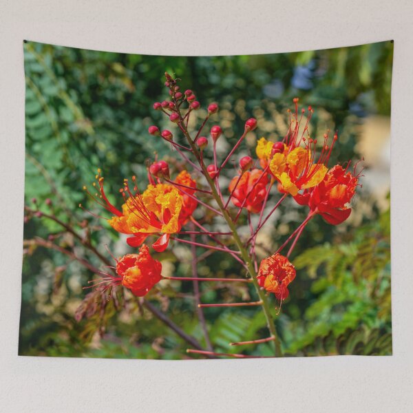 Item preview, Pretty Orange Blooming Flowers designed and sold by SafariByMarisa.
