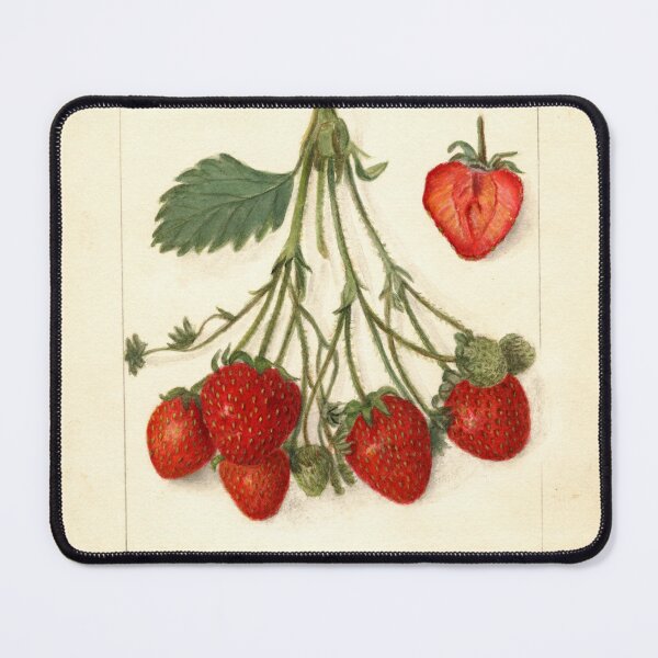 Item preview, Fragaria: Strawberry Hand Draw designed and sold by Uranuxky.