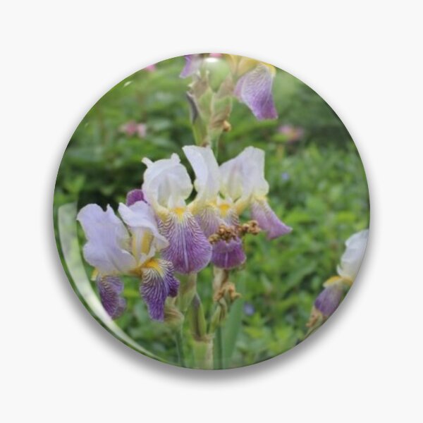 Item preview, Bearded Irises designed and sold by Nerd-Mart.