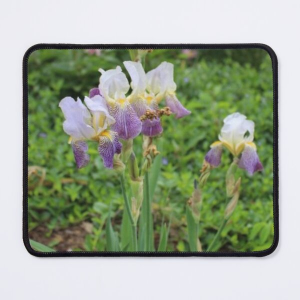 Item preview, Bearded Irises designed and sold by Nerd-Mart.