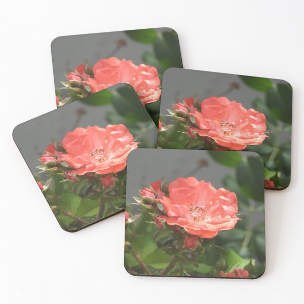 Item preview, Miniature pink rose designed and sold by jnorton772.