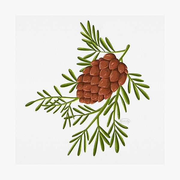 Item preview, Rustic Elegance: Pine Cone Delight designed and sold by Aforesty.