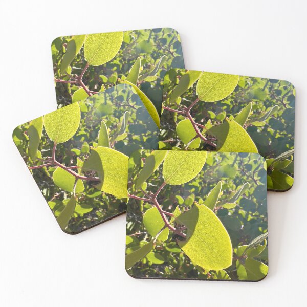 Item preview, Manzanita Leaves designed and sold by Betsy Phillips.
