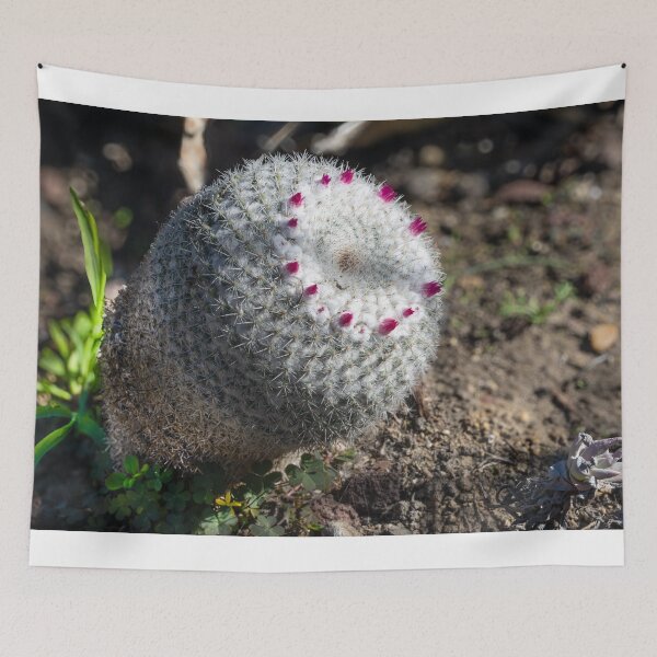 Item preview, Crown of the Desert designed and sold by Diego Re.