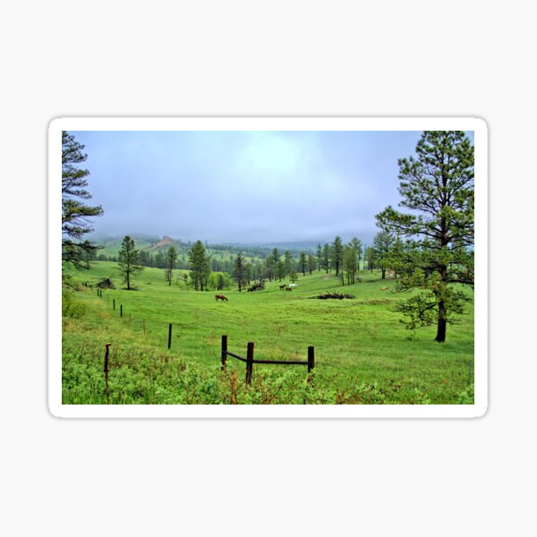 Item preview, Chadron Pasture designed and sold by LynyrdSky.