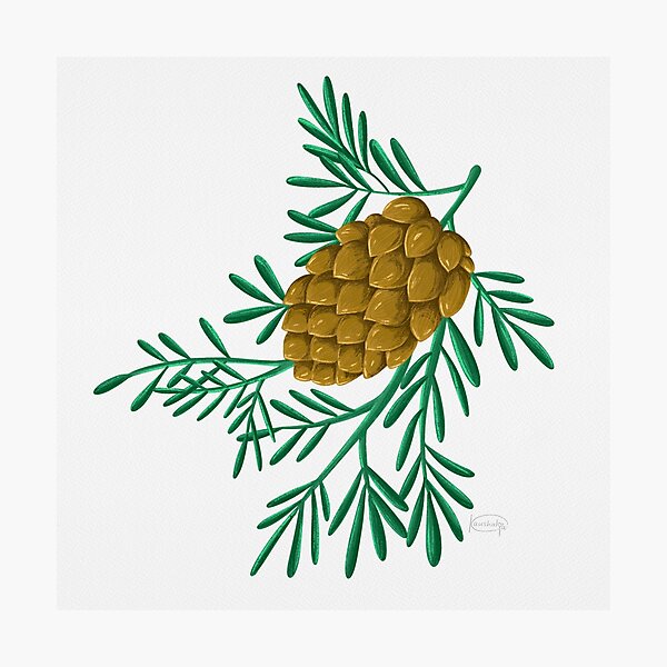 Item preview, Rustic Elegance: Pine Cone Delight designed and sold by Aforesty.