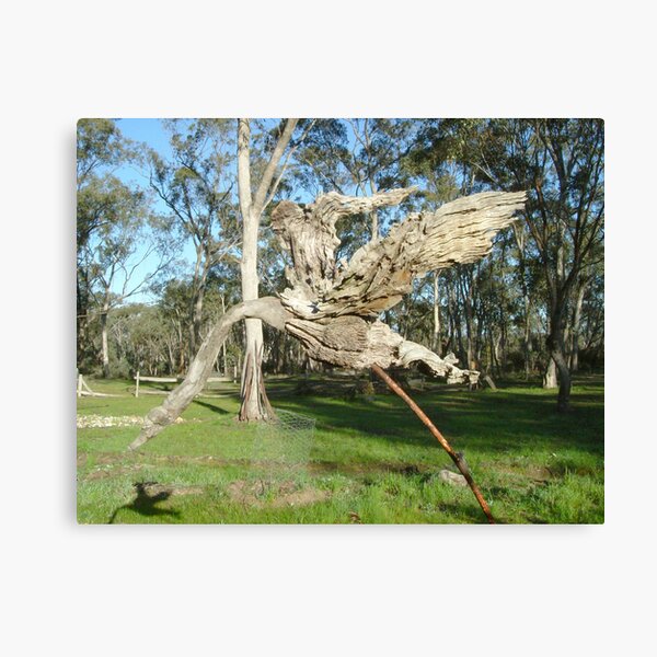 Swan Landing Canvas Print