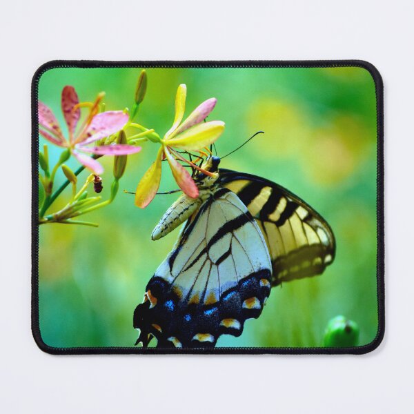Item preview, Butterfly On A Blackberry Lily Bloom designed and sold by MercerImages.
