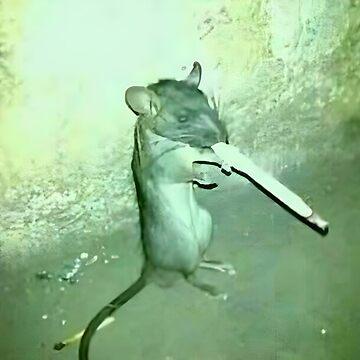 Loose Rat Smoking Cigarette Sticker