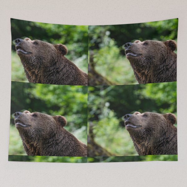 Item preview, Huele a oso pardo designed and sold by Ingo Gerlach.