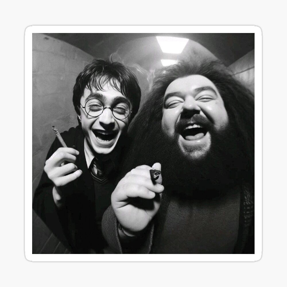 Funny Meme Harry Smoking | Pullover Hoodie