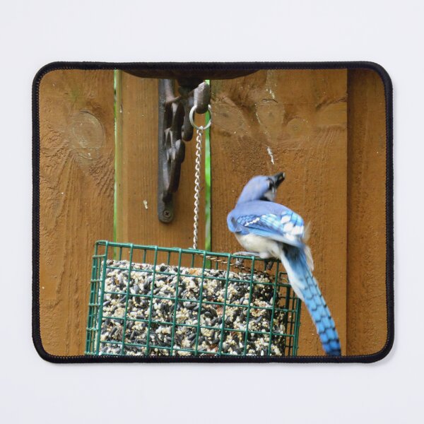 Item preview, Bluejay designed and sold by Larrysphotos.