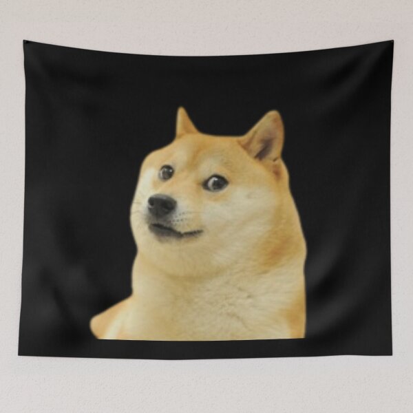 Item preview, Kabosu: The Dog Behind Dogecoin designed and sold by FrenchTouch77.