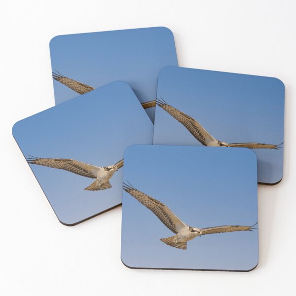Item preview, Osprey On The Hunt #4 designed and sold by Debra Martz.