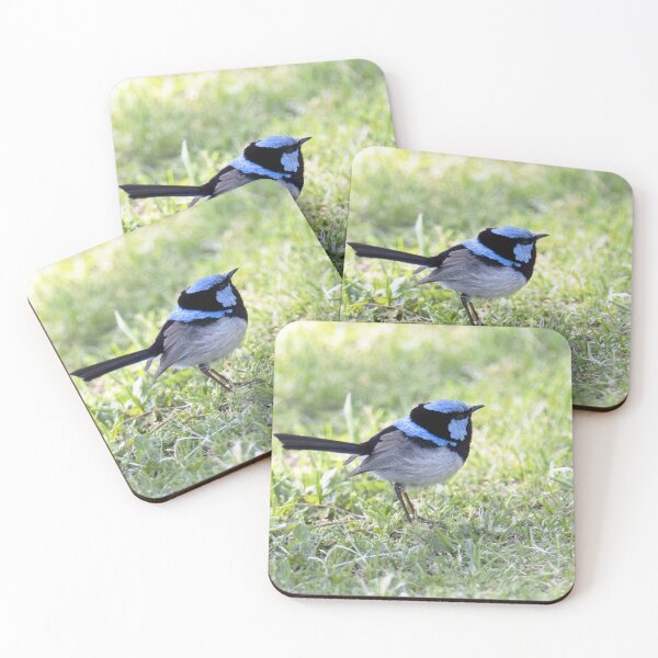 Item preview, Little Blue Wren designed and sold by imaginethis.