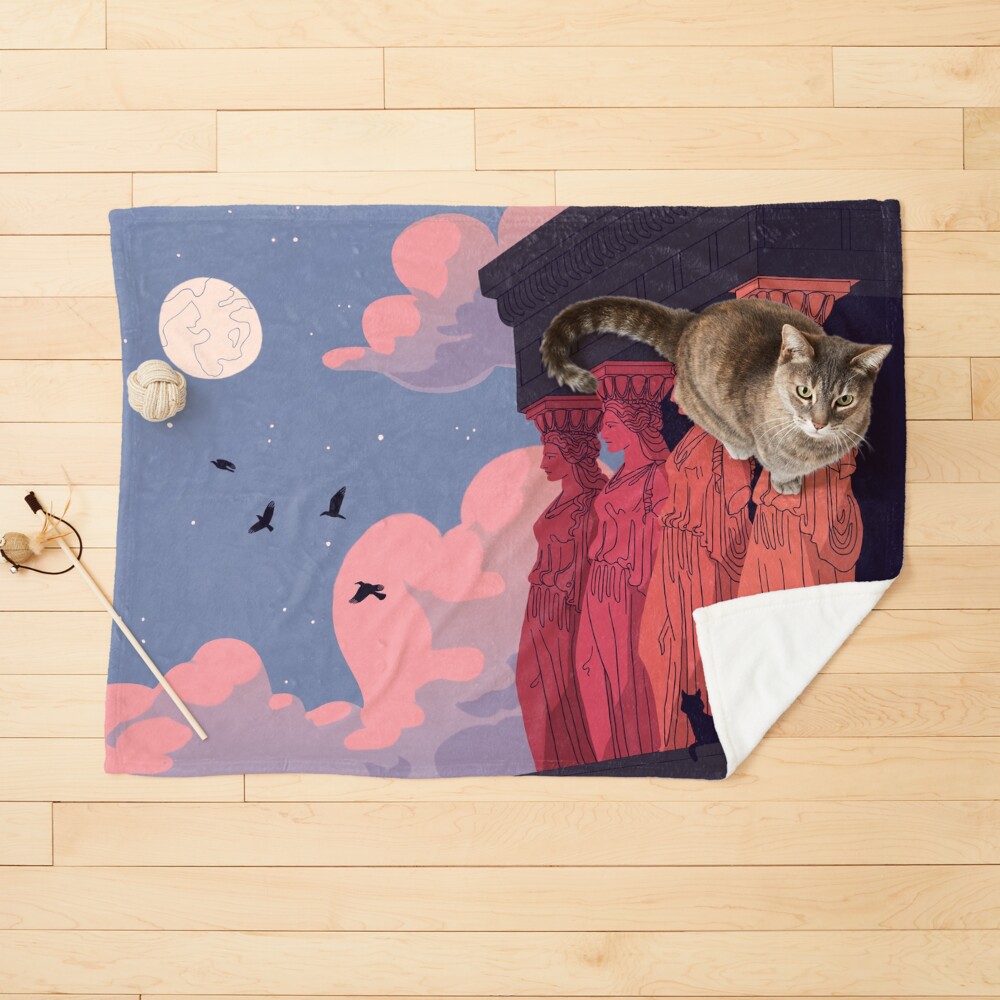 Item preview, Pet Blanket designed and sold by flaroh.