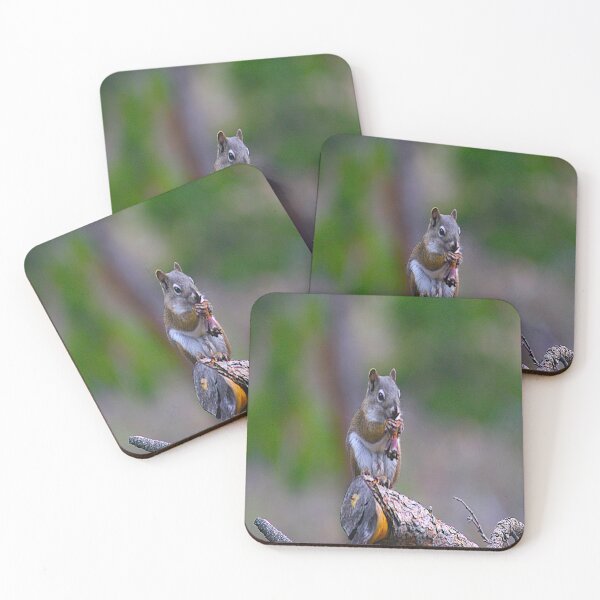 Item preview, Snack Time with Mr. Chipmunk designed and sold by KoalaTeaPhotogr.