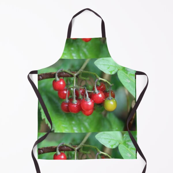Item preview, Bittersweet nightshade berries designed and sold by pinkal.