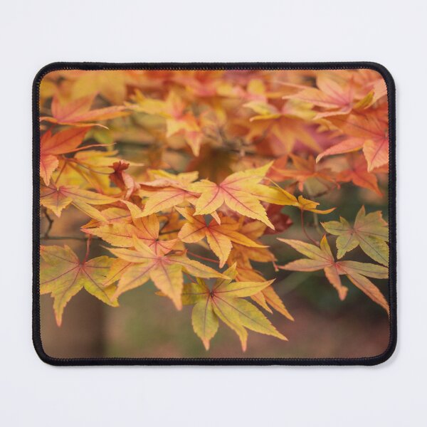 Item preview, Turning Seasons designed and sold by David Bowman.