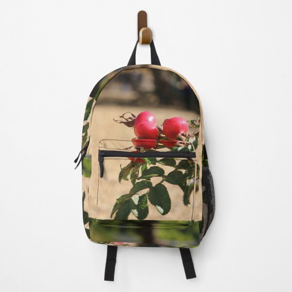 Item preview, Rosehips designed and sold by pinkal.