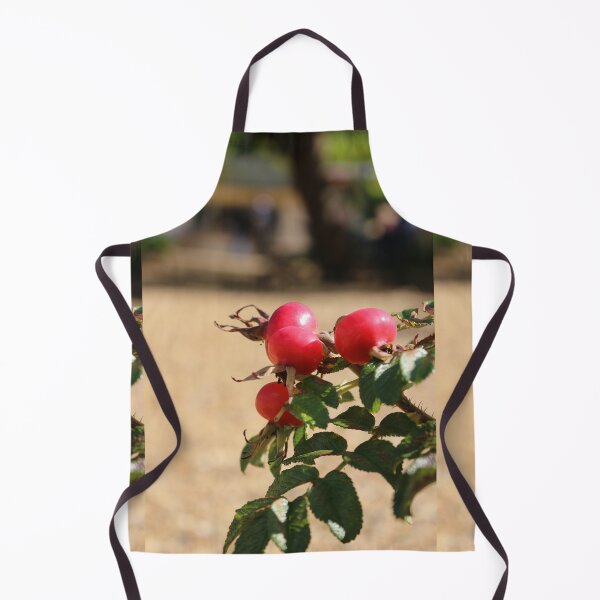 Item preview, Rosehips designed and sold by pinkal.
