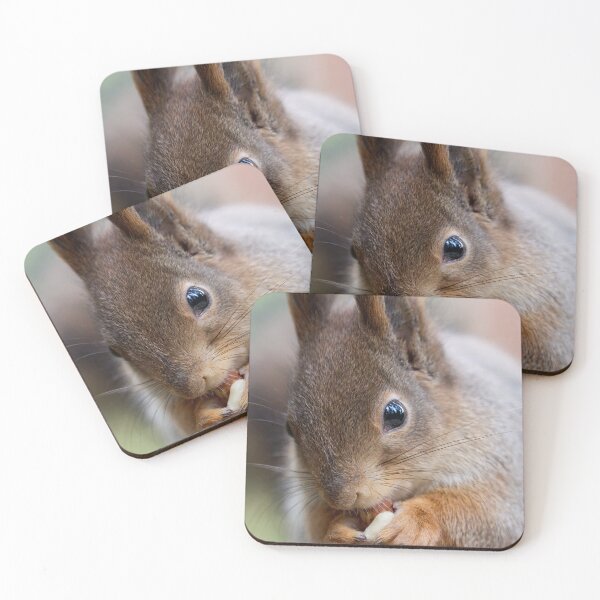 Item preview, All the forest in the eyes. Red squirrel designed and sold by Jouko Lehto Photography.