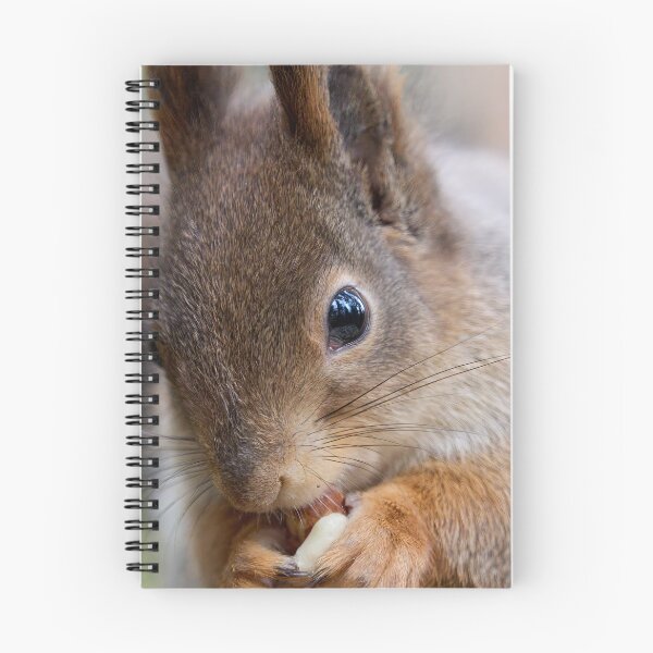 Item preview, All the forest in the eyes. Red squirrel designed and sold by Jouko Lehto Photography.