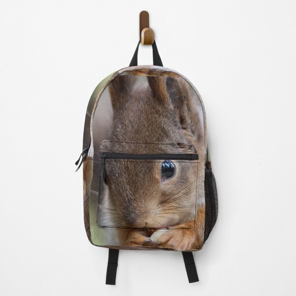 Item preview, All the forest in the eyes. Red squirrel designed and sold by Jouko Lehto Photography.