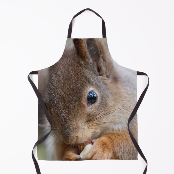 Item preview, All the forest in the eyes. Red squirrel designed and sold by Jouko Lehto Photography.