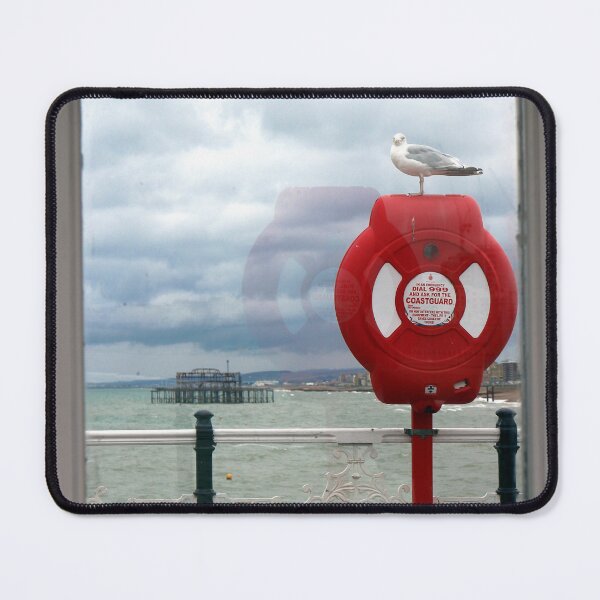 Item preview, Lifebuoy and Seagull designed and sold by pinkal.