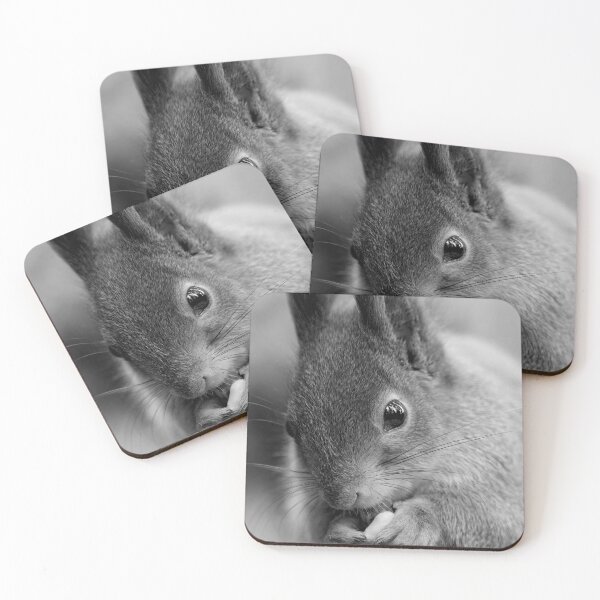 Item preview, All the forest in the eyes. Red squirrel bw designed and sold by Jouko Lehto Photography.