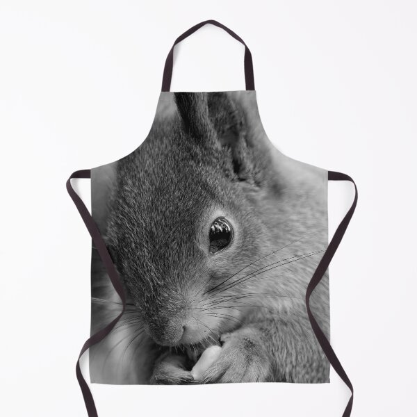 Item preview, All the forest in the eyes. Red squirrel bw designed and sold by Jouko Lehto Photography.