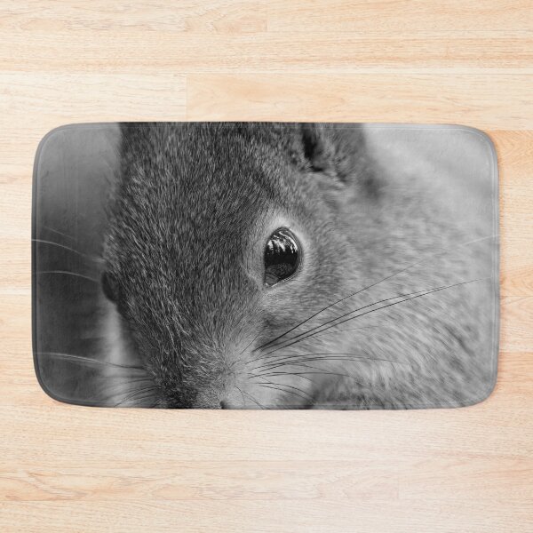 Item preview, All the forest in the eyes. Red squirrel bw designed and sold by Jouko Lehto Photography.