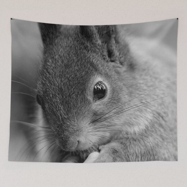 Item preview, All the forest in the eyes. Red squirrel bw designed and sold by Jouko Lehto Photography.