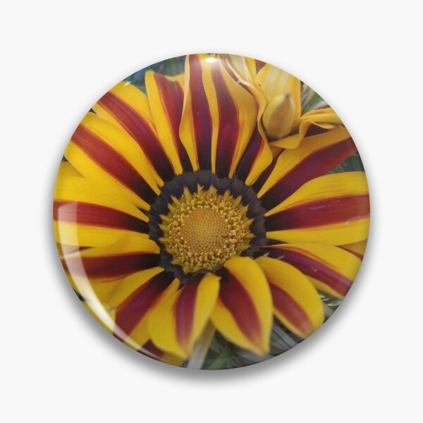 Item preview, Gazania designed and sold by funkybay.