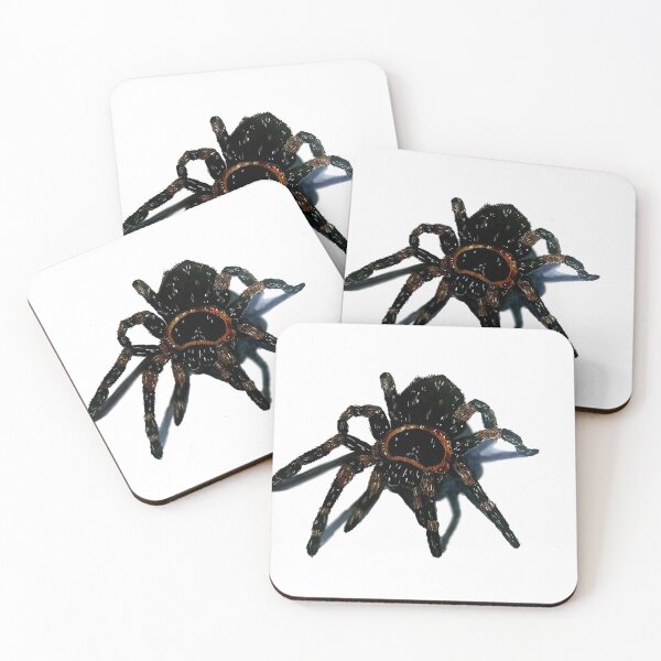 Item preview, Realistic spider illustration  designed and sold by xXMauriartXx.