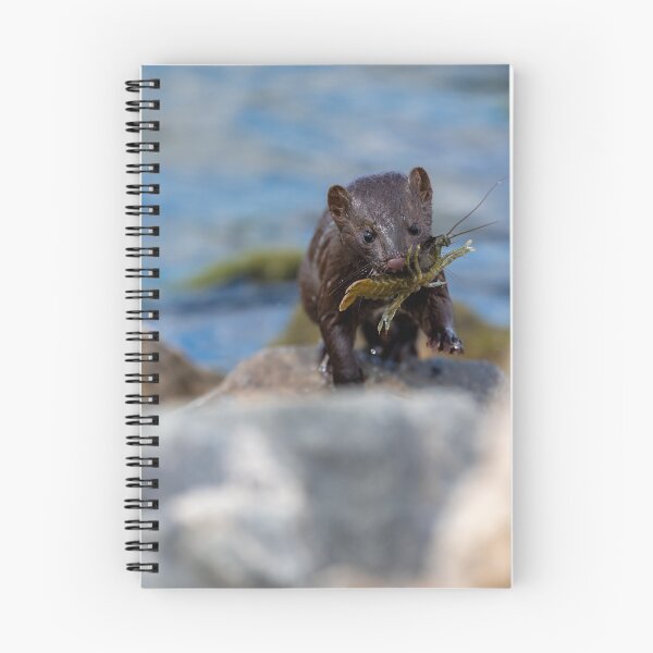 Item preview, Success! designed and sold by Greg Birkett.
