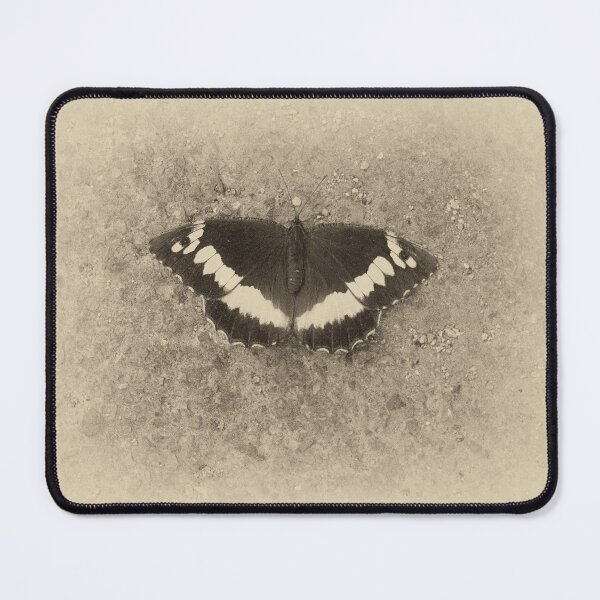 Item preview, 2020 Limenitis Camilla designed and sold by robertoferrero.